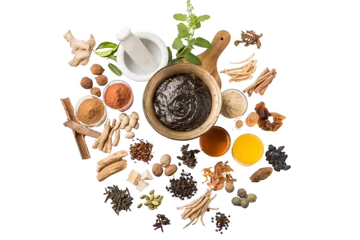 yurveda-treatment-india-kerala-ayurvedic-medicine