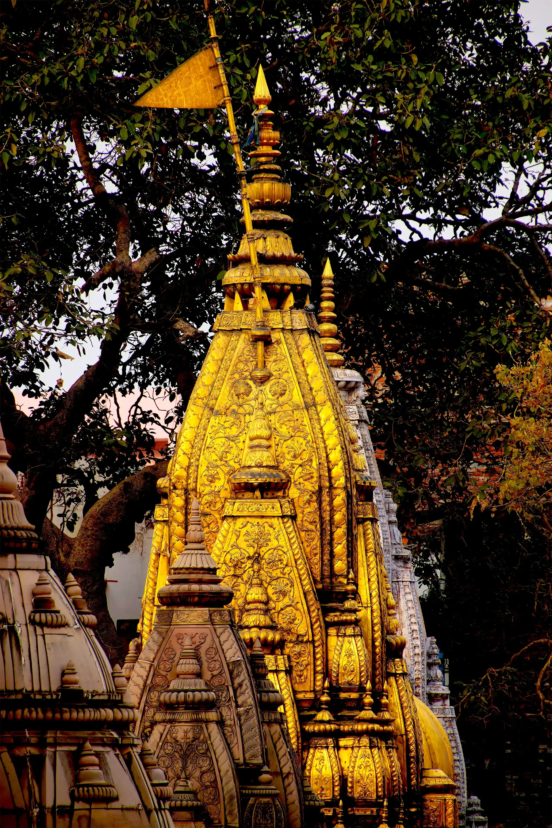 Early morning temple visits in Varanasi, a key Hinduism pilgrimage site, followed by a trip to Sarnath, where Lord Buddha gave his first sermon.